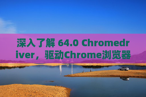 深入了解 64.0 Chromedriver，驱动Chrome浏览器的关键工具